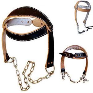 Head Harness