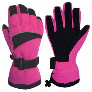 SKI Gloves